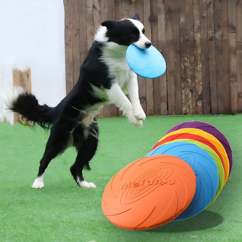 Flying Disc Dog Training Toy - Brinquedos de Disco Voador de Silicone