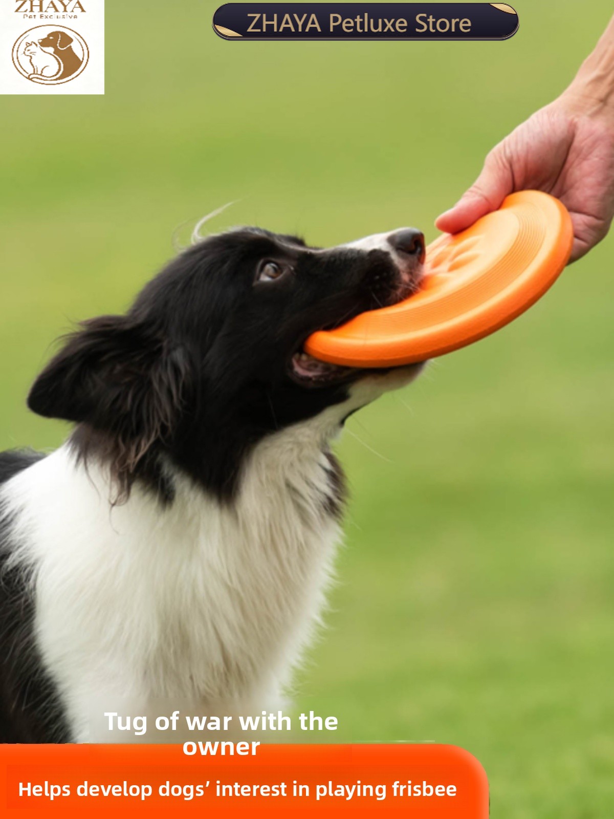 Flying Disc Dog Training Toy - Disco Voador para Cães, Macio, Durável,