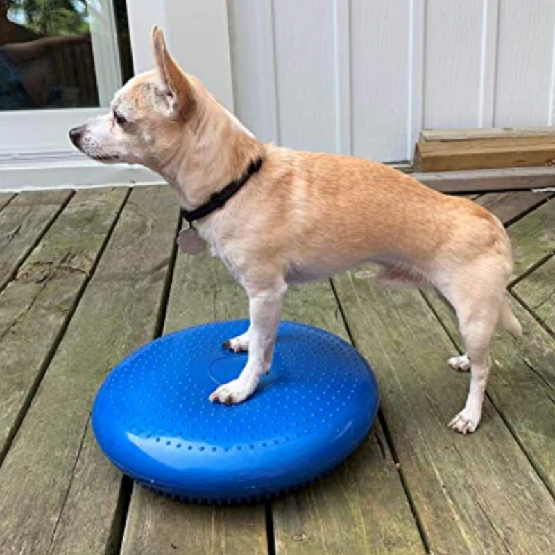 Flying Disc Dog Training Toy - Balance Flying Saucer para Animais de