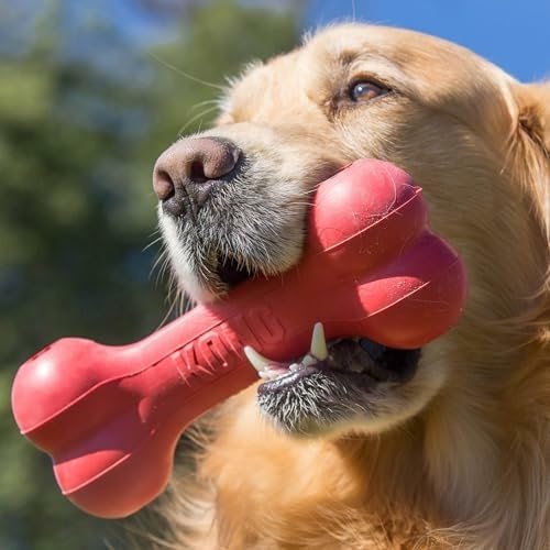 Rubber Treat Dispensing Dog Toy - Osso de Borracha Natural Clássico e