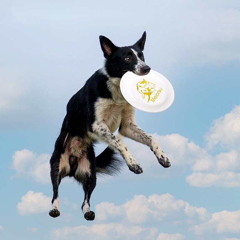 Flying Disc Dog Training Toy - OUZEY-Brinquedos disco voador resistentes a mordida