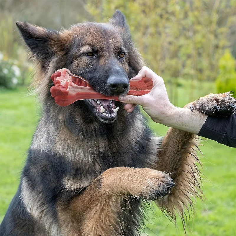 Teeth Cleaning Dog Chew Bone - Brinquedo para Cães Super Resistente e