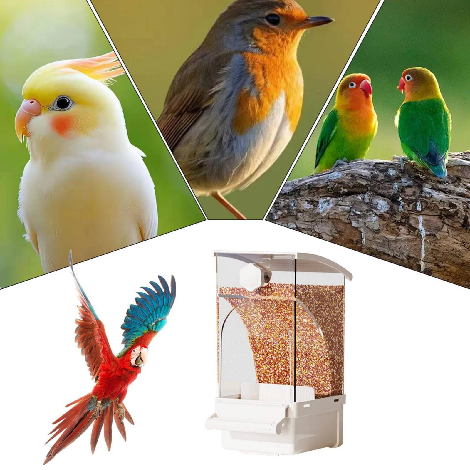 Pet Feeders - Comedouro Automático para Aves com Separação