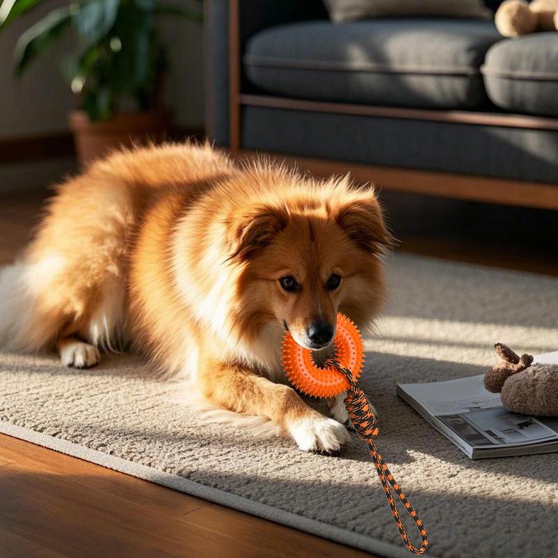 Dog Rope Toy Aggressive Chewers - Brinquedos estridentes para cães, anel espetado