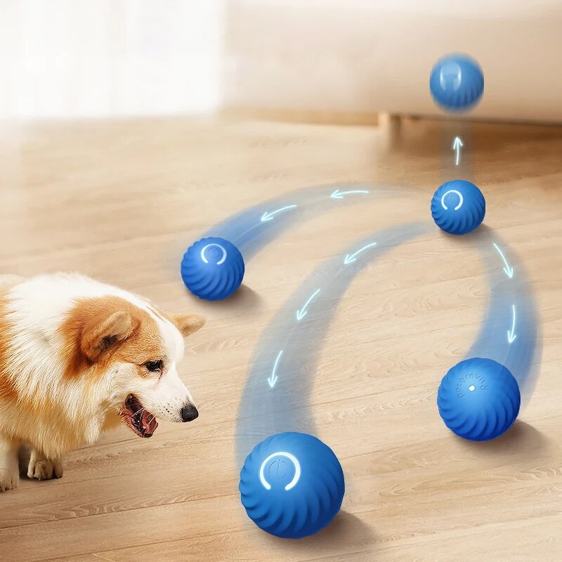 Suction Cup Dog Tug Toy - Brinquedos para cães, bola inteligente de