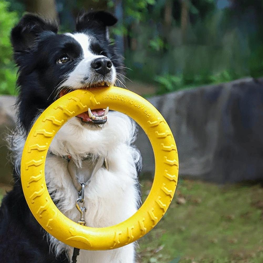 Indestructible Dog Chew Toy - Brinquedos de Argola para Cães Indestrutíveis