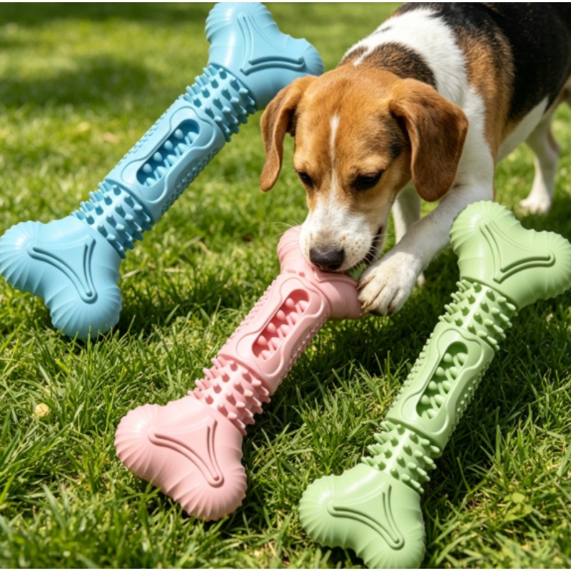 Teeth Cleaning Dog Chew Bone - Novo Conjunto de Brinquedos Duráveis para