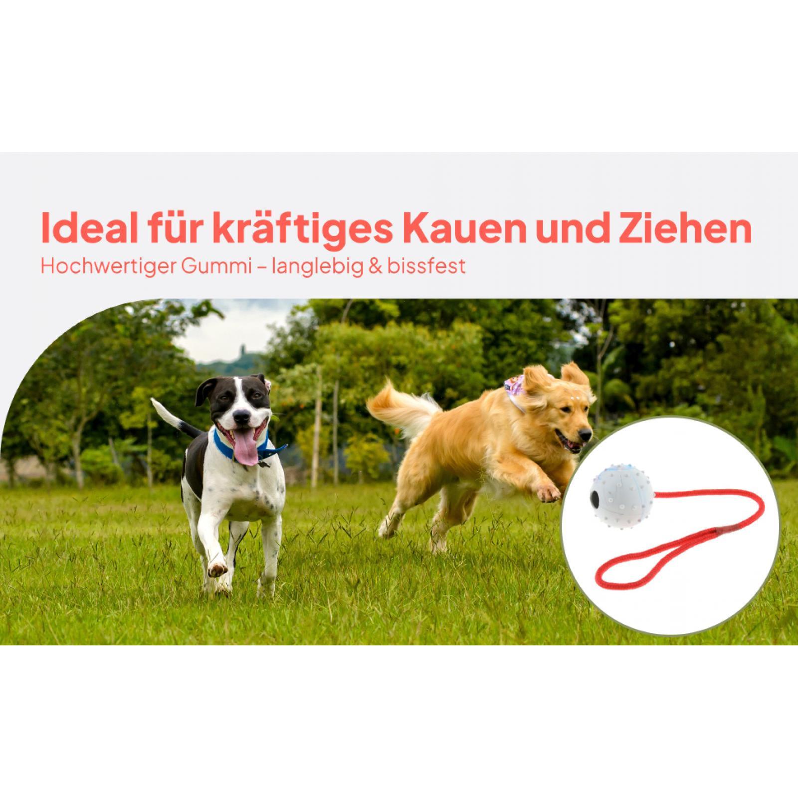 Rubber Treat Dispensing Dog Toy - Brinquedo de Treinamento para Pets: Bola
