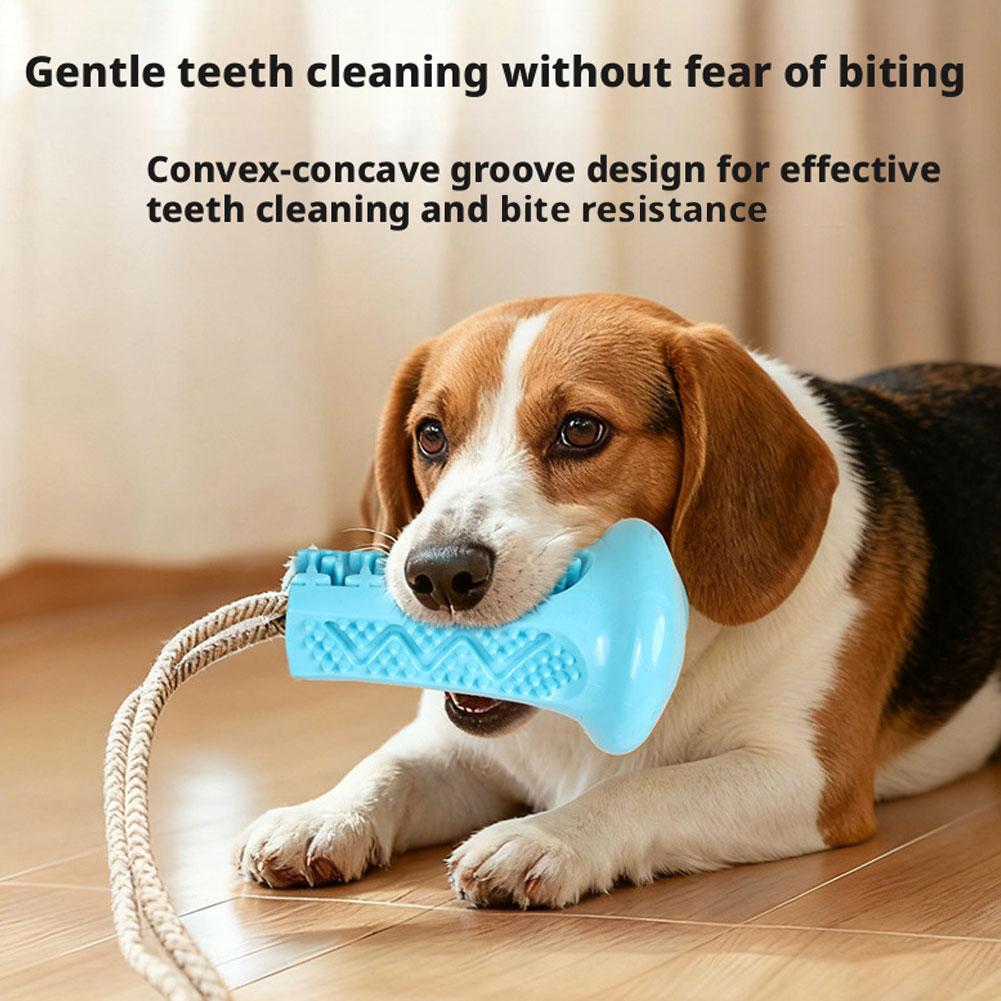 Brinquedo de Mastigar para Cãe - Suction Cup Dog Tug Toy avaliação e preço