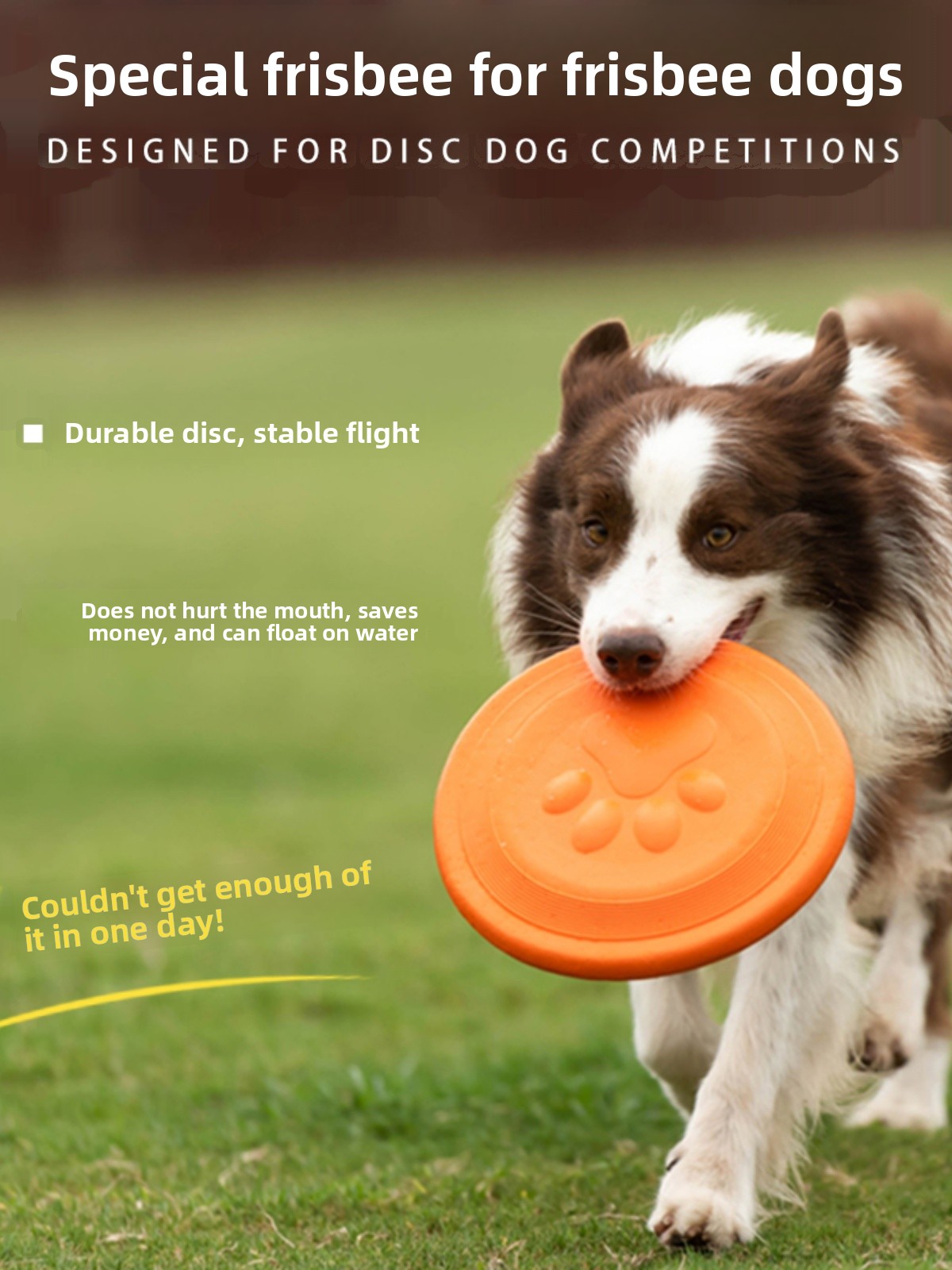 Disco Voador para Cães, Macio, - Flying Disc Dog Training Toy avaliação e preço
