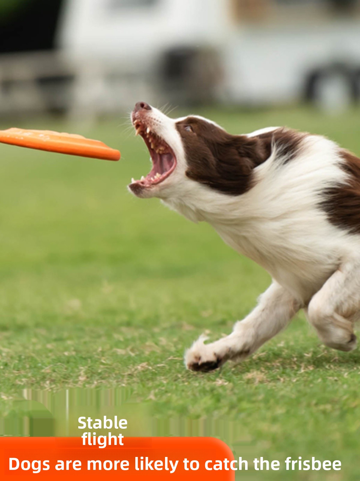 Disco Voador para Cães, Macio, - Flying Disc Dog Training Toy avaliação e preço