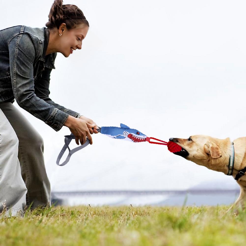Brinquedo de Puxar com Corda d - Suction Cup Dog Tug Toy avaliação e preço