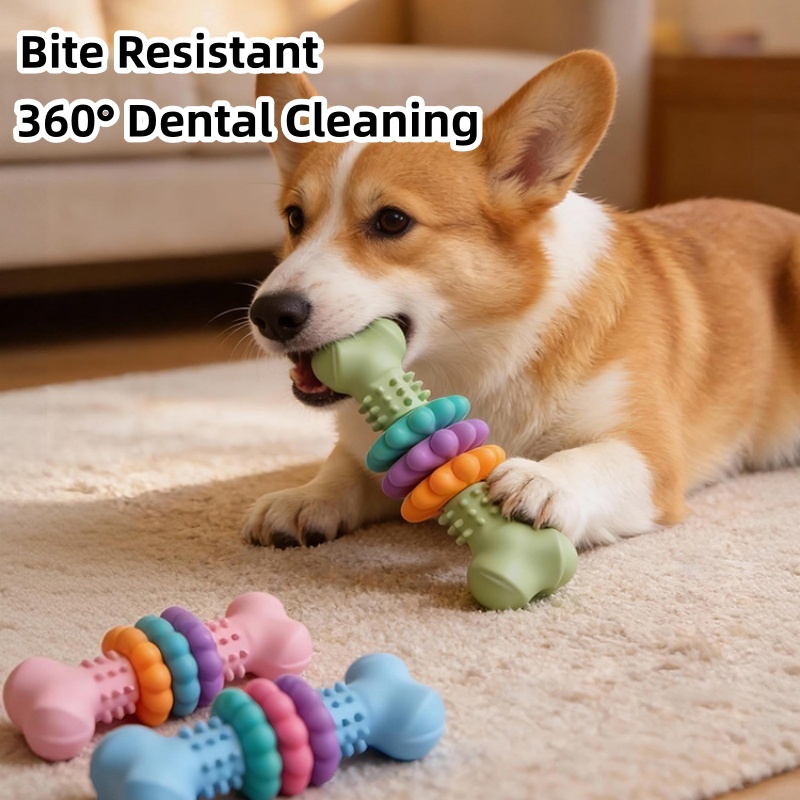 Brinquedo Durável de TPR para  - Teeth Cleaning Dog Chew Bone avaliação e preço
