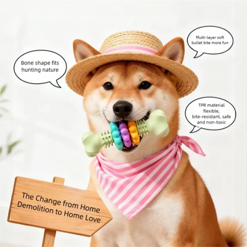 Brinquedo Durável de TPR para  - Teeth Cleaning Dog Chew Bone avaliação e preço