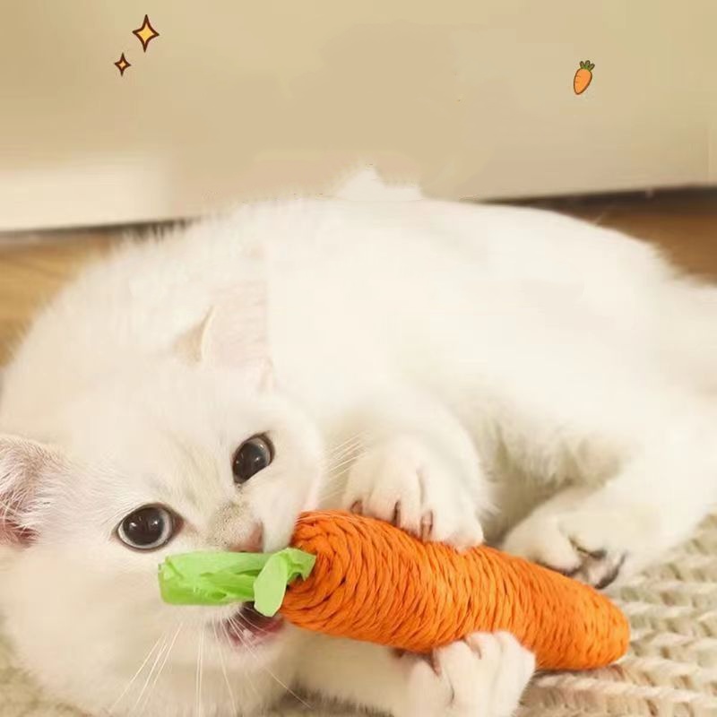 Bastão de dentição de gato div - Snuffle Mat For Dogs avaliação e preço