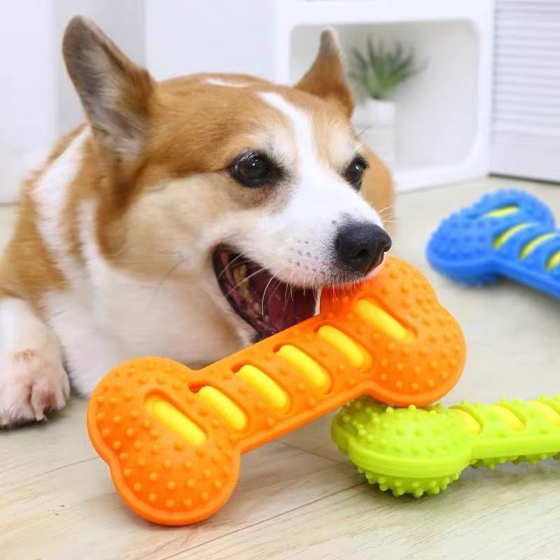 Bastão de Borracha para Cães e - Teeth Cleaning Dog Chew Bone avaliação e preço