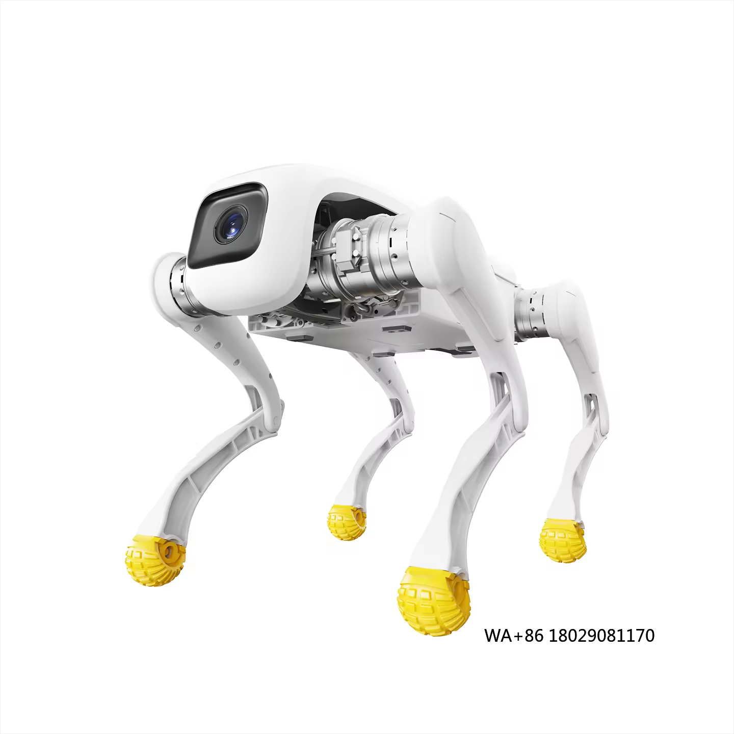 Design Dog Robot AI Brinquedo  - Dog Toys avaliação e preço