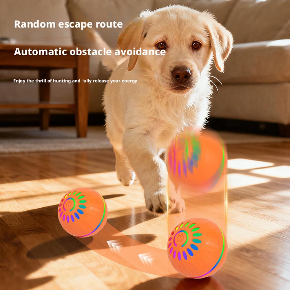 Bola de Brinquedo Inteligente  - Automatic Moving Dog Ball avaliação e preço