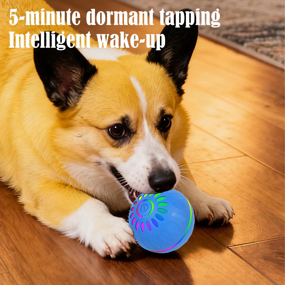 Bola de Brinquedo Inteligente  - Automatic Moving Dog Ball avaliação e preço