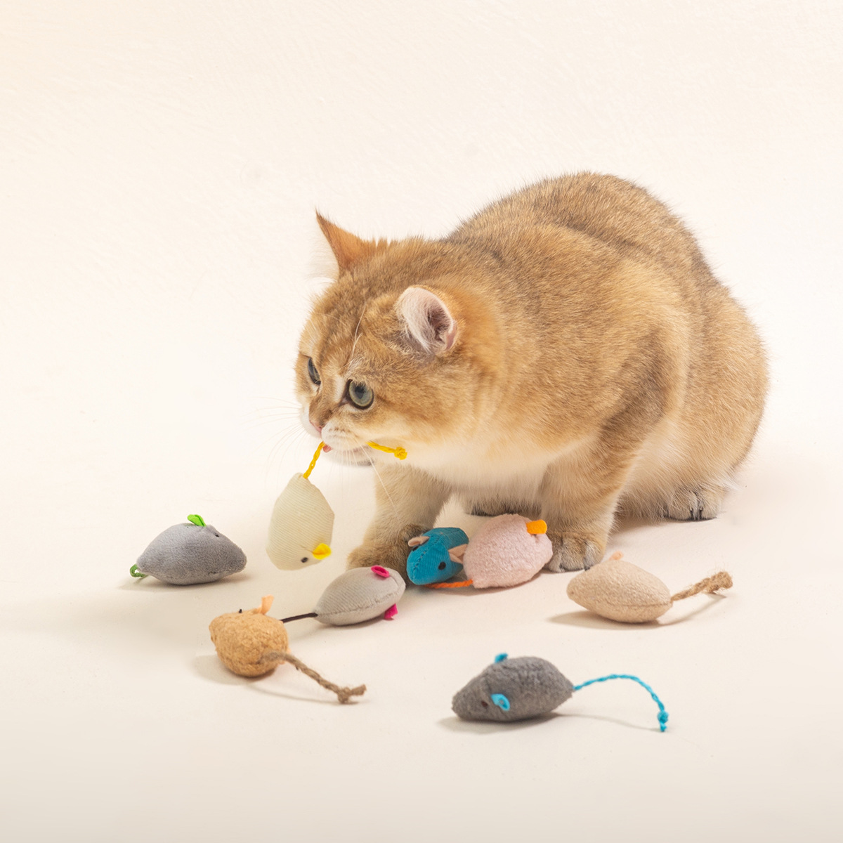 16 pçs interativo gato ratos b - Catnip Interactive Plush Mouse avaliação e preço