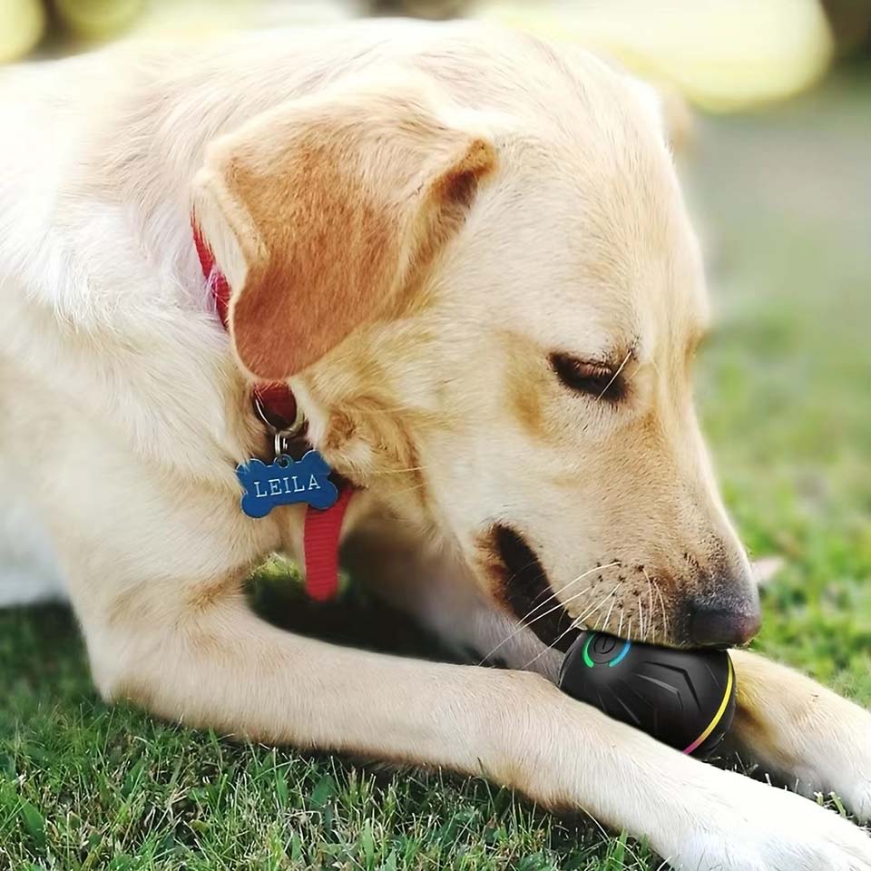 Brinquedos Interativos para Cã - Automatic Moving Dog Ball avaliação e preço