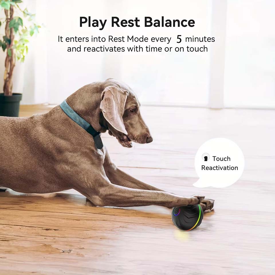 Brinquedos Interativos para Cã - Automatic Moving Dog Ball avaliação e preço