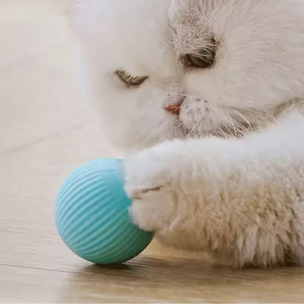 Bola de movimento automático p - Automatic Moving Dog Ball avaliação e preço