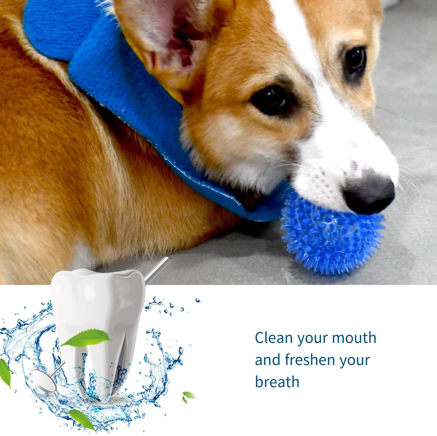 Brinquedos para cães, brinqued - Suction Cup Dog Tug Toy avaliação e preço