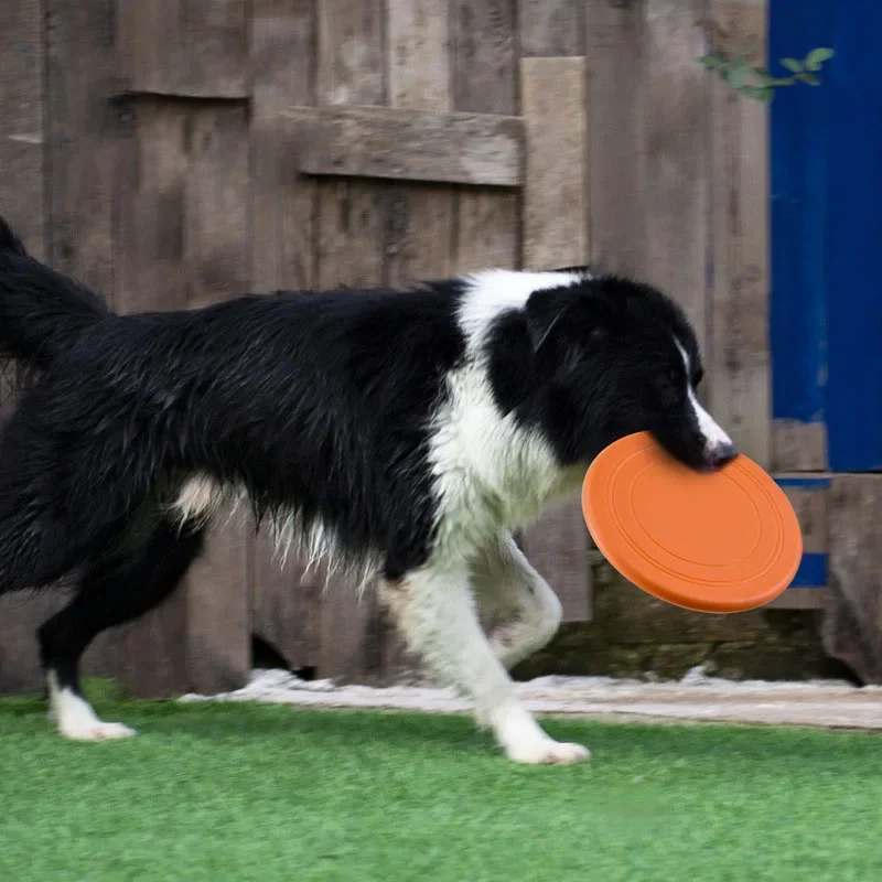 Pires voadores de silicone par - Flying Disc Dog Training Toy avaliação e preço
