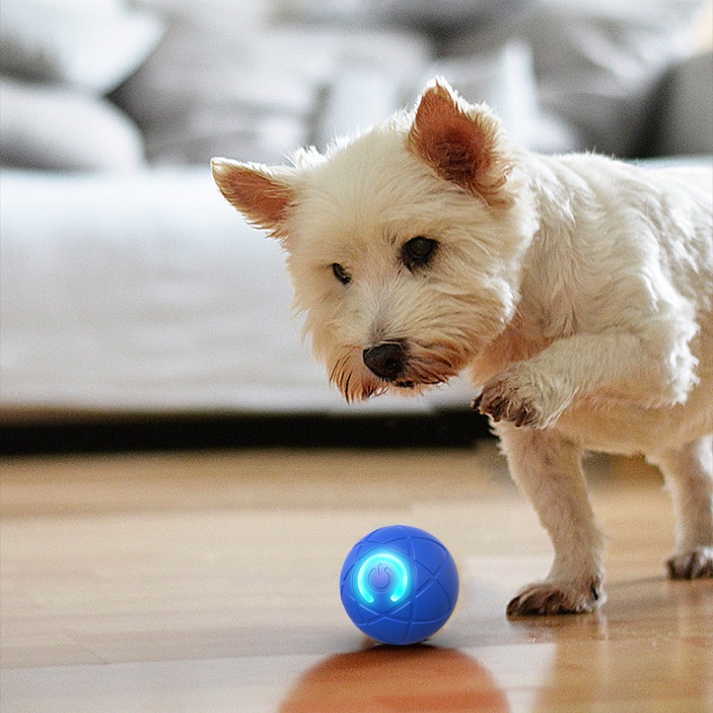 Bola de brinquedo para cachorr - Automatic Moving Dog Ball avaliação e preço