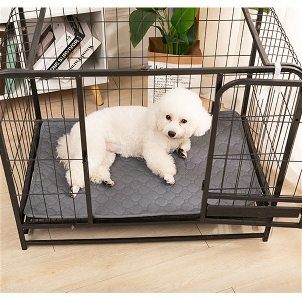 *A14E Cobertor reutilizável pa - Pet Beds avaliação e preço