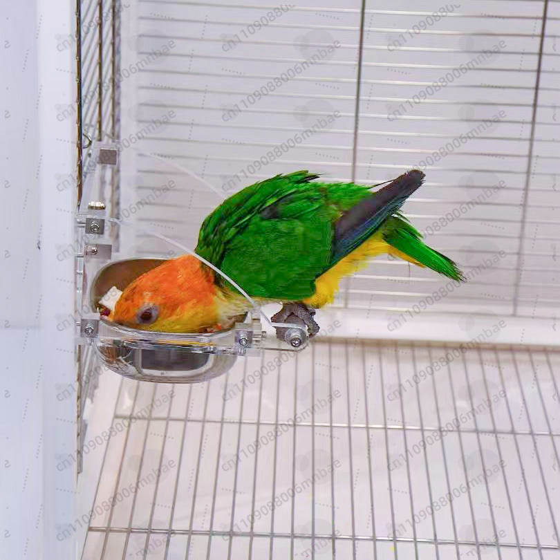 Caixa de comida para papagaio  - Pet Feeders avaliação e preço