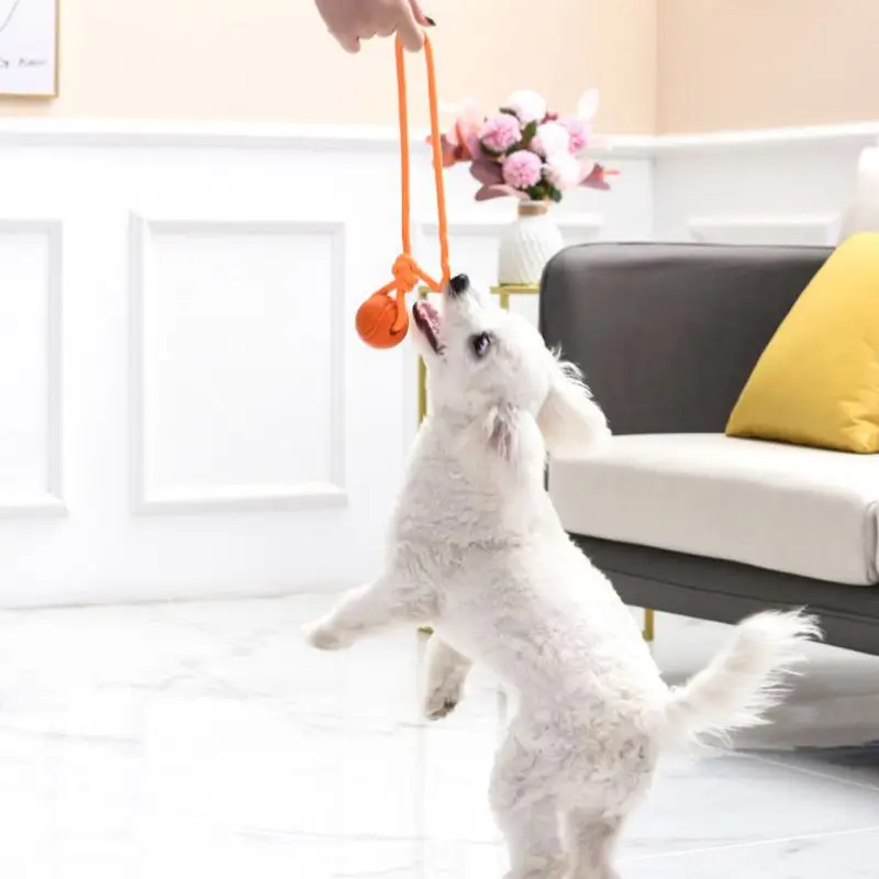 Bola de treino para cães, em c - Suction Cup Dog Tug Toy avaliação e preço