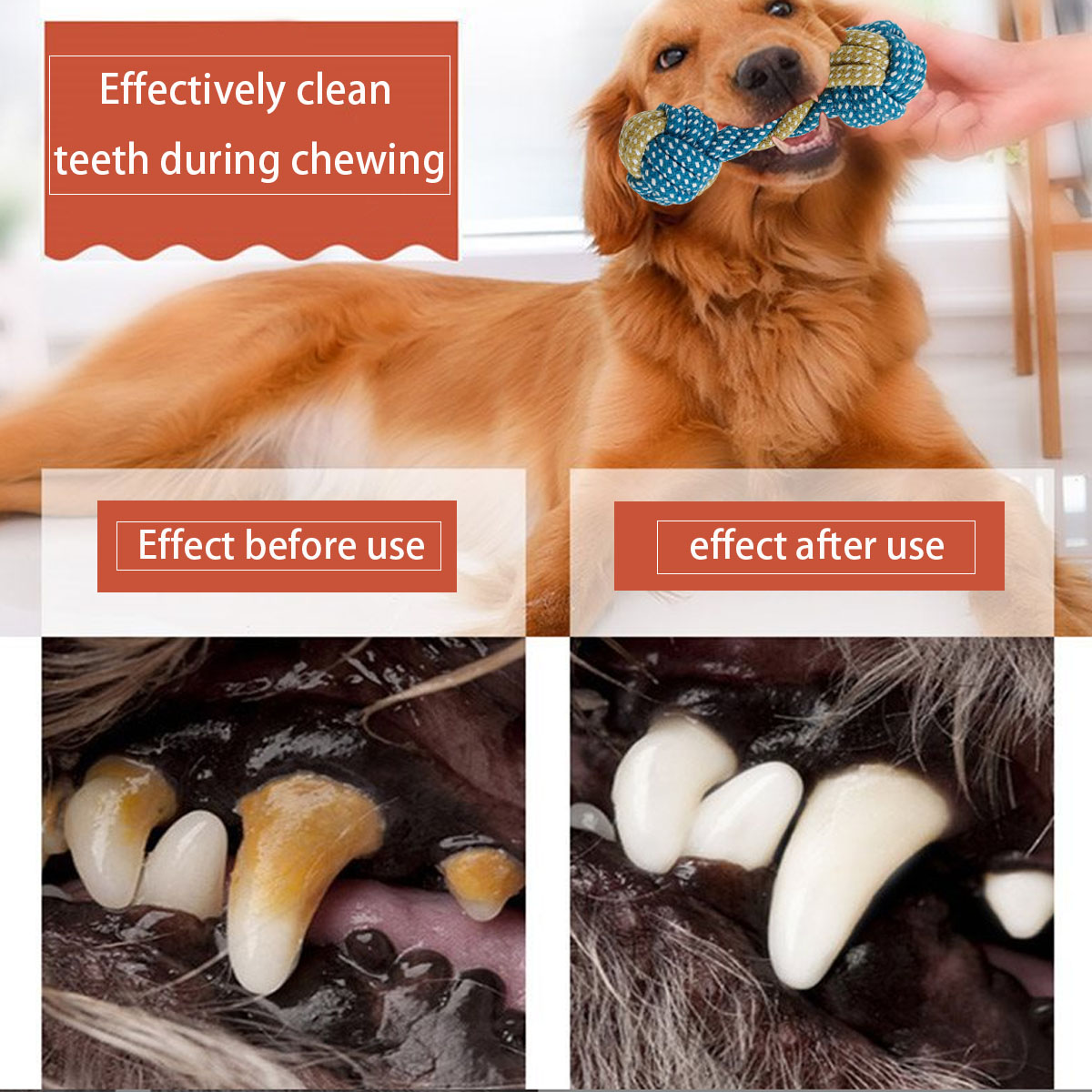 Novo 7 pçs cão de estimação fi - Teeth Cleaning Dog Chew Bone avaliação e preço