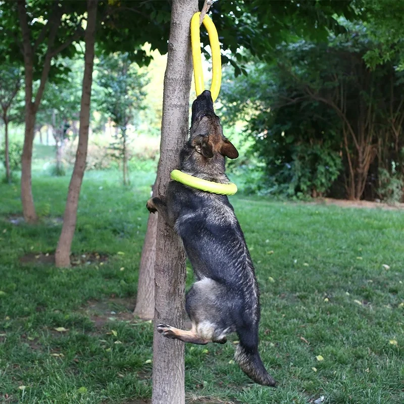 Discos voadores EVA Dog Traini - Flying Disc Dog Training Toy avaliação e preço