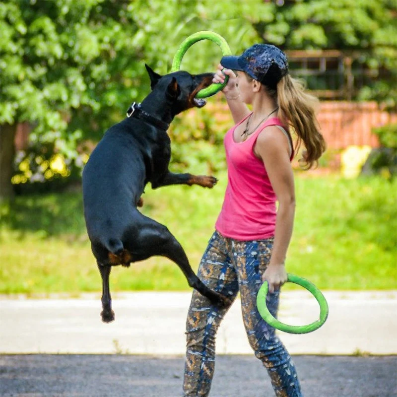 Brinquedos para Cães: Discos V - Flying Disc Dog Training Toy avaliação e preço