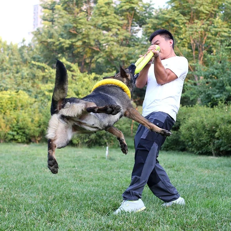 Brinquedos para Cães: Discos V - Flying Disc Dog Training Toy avaliação e preço
