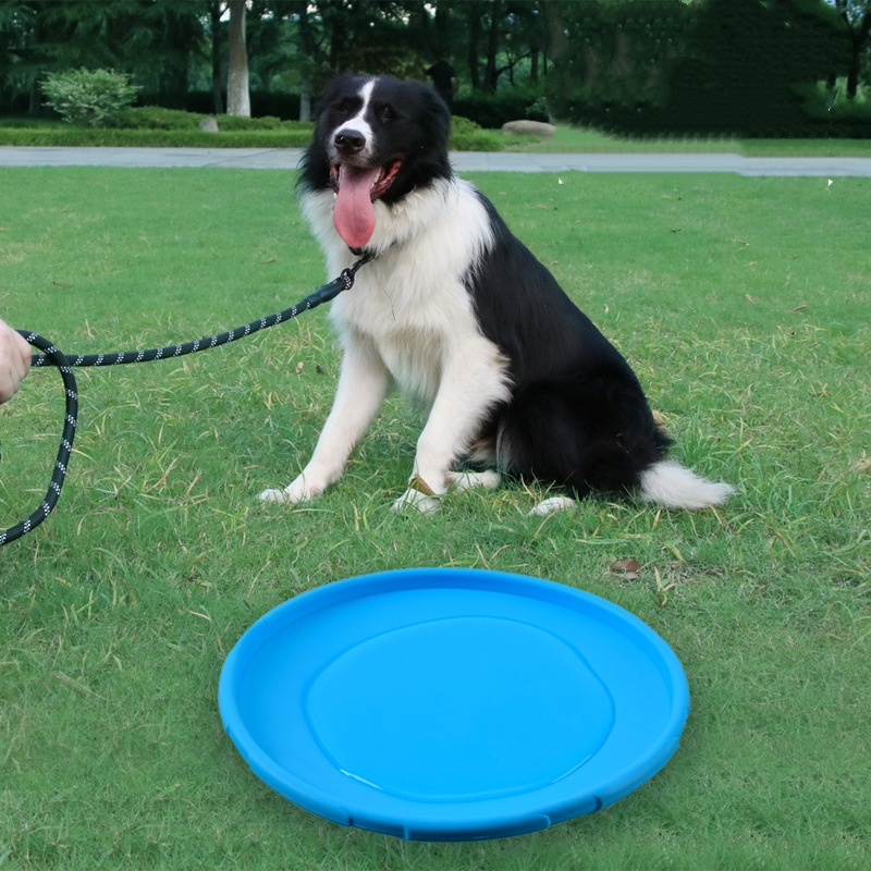 Brinquedo interativo de disco  - Flying Disc Dog Training Toy avaliação e preço