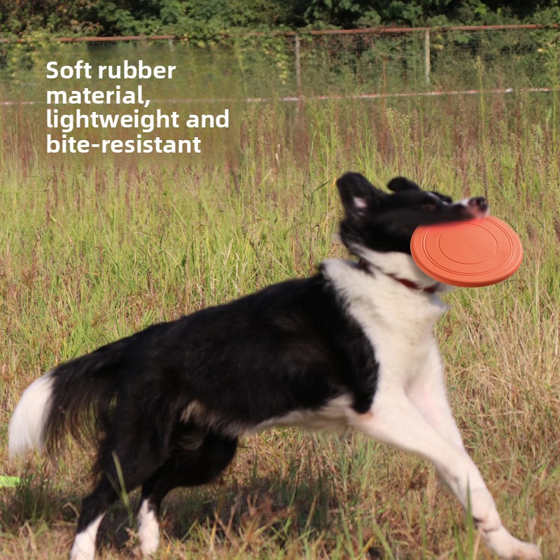 Disco Voador Interativo para C - Flying Disc Dog Training Toy avaliação e preço