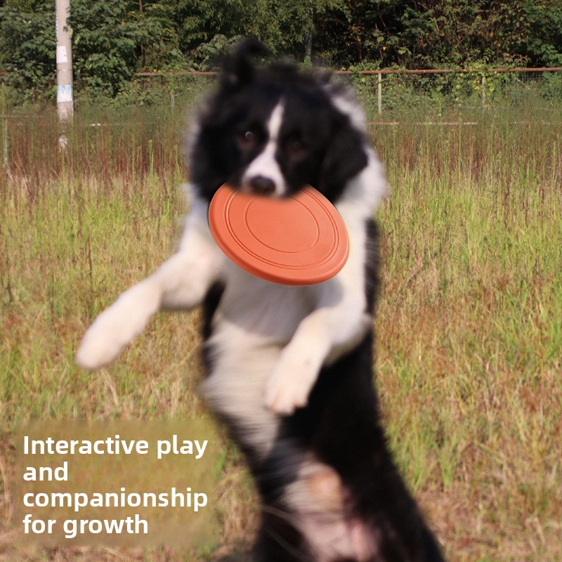 Disco Voador Interativo para C - Flying Disc Dog Training Toy avaliação e preço