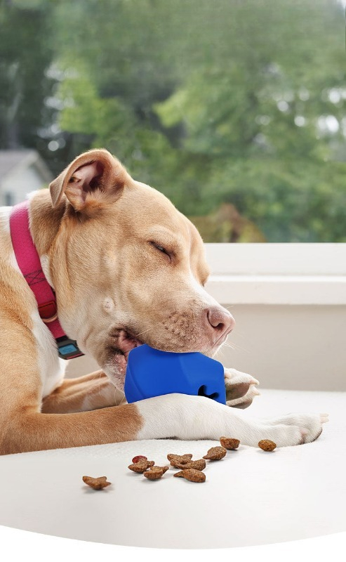 Brinquedo Interativo Durável d - Rubber Treat Dispensing Dog Toy avaliação e preço