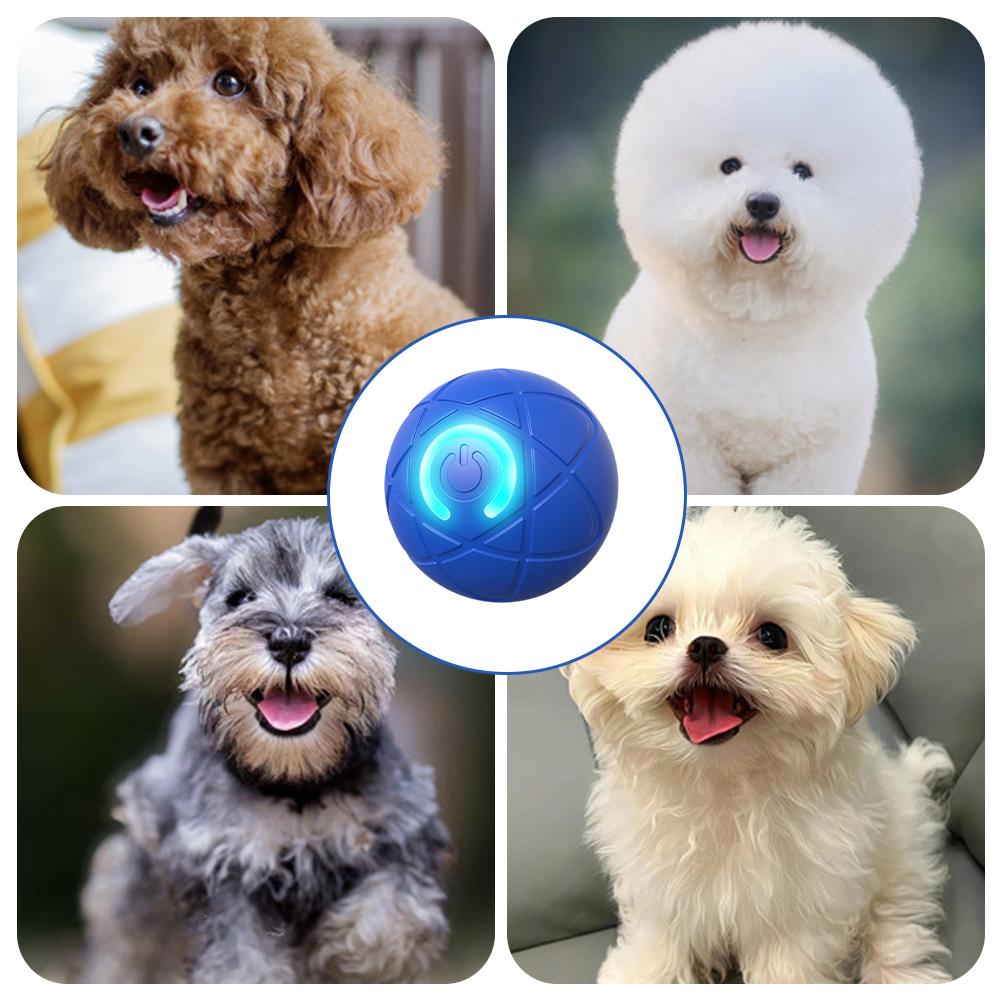 Brinquedo interativo eletrônic - Automatic Moving Dog Ball avaliação e preço