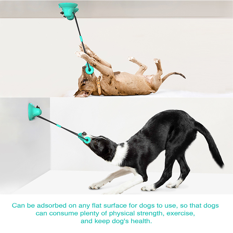 Brinquedo de mastigar para cãe - Suction Cup Dog Tug Toy avaliação e preço