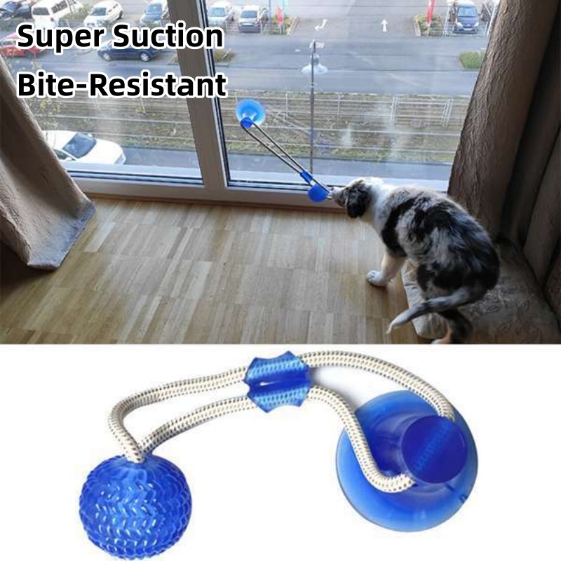 Brinquedo Interativo Durável p - Suction Cup Dog Tug Toy avaliação e preço