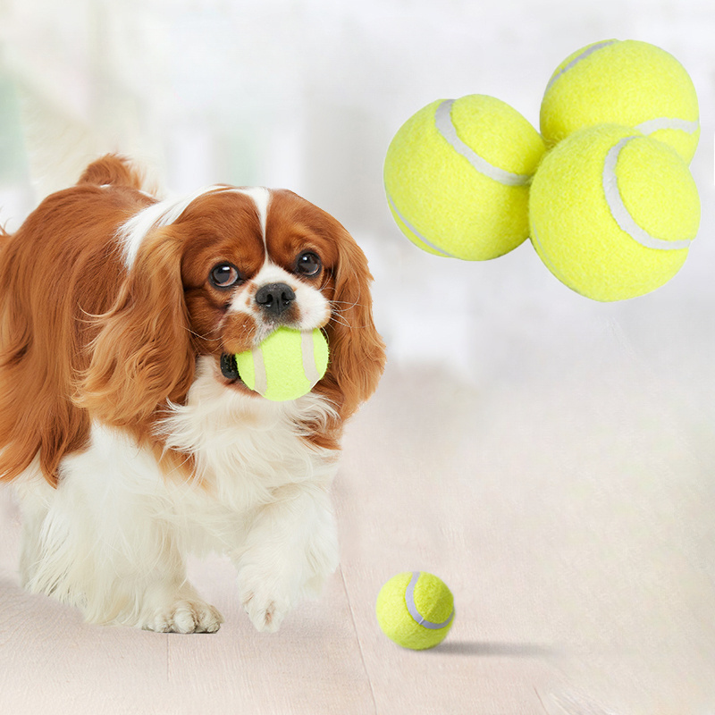 Brinquedo Interativo de Borrac - Interactive Squeaky Plush Dog Toy avaliação e preço