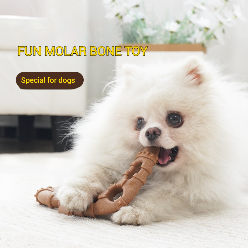Brinquedo molar de osso de imi - Teeth Cleaning Dog Chew Bone avaliação e preço