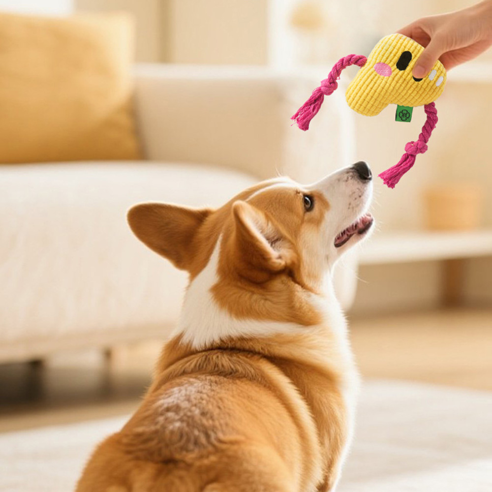Brinquedo para mastigar cachor - Dog Rope Toy Aggressive Chewers avaliação e preço