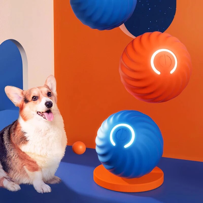 Brinquedos para cães, bola int - Suction Cup Dog Tug Toy avaliação e preço