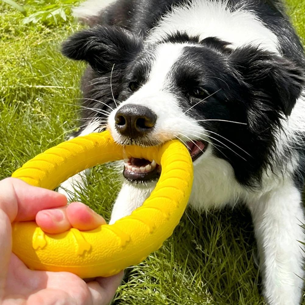 Brinquedos de Argola para Cães - Indestructible Dog Chew Toy avaliação e preço