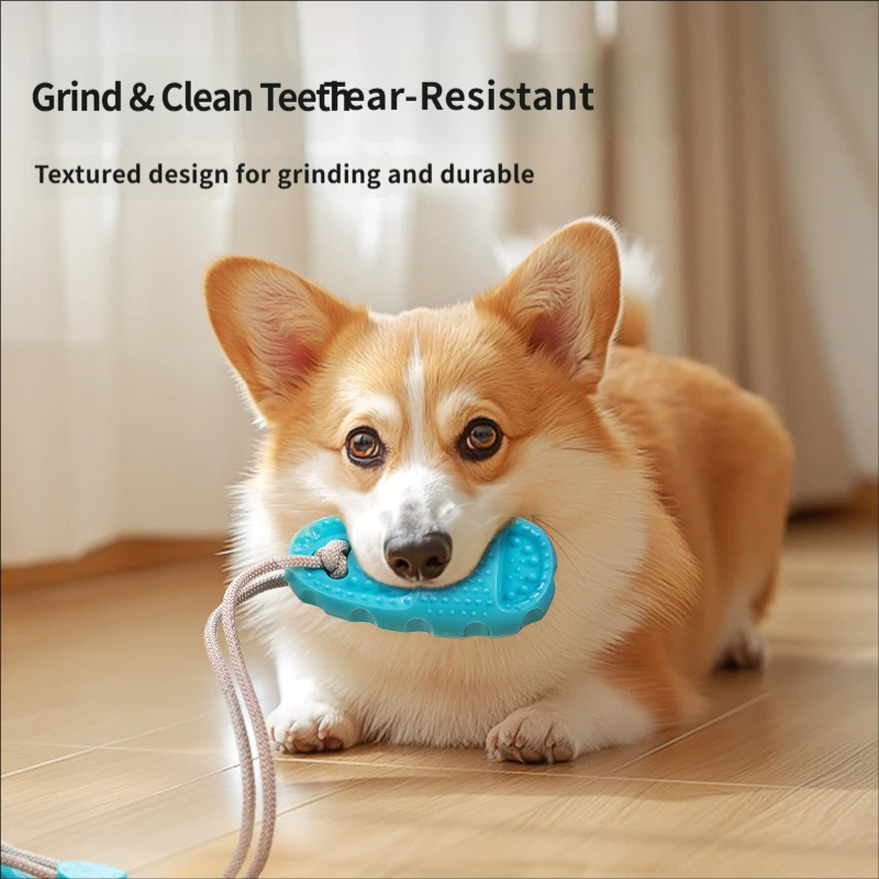 Brinquedo de puxar interativo  - Suction Cup Dog Tug Toy avaliação e preço